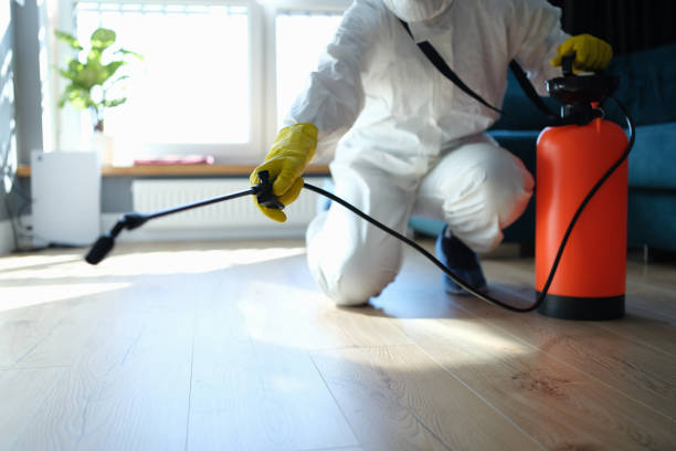 Reliable Biohazard contractor in Pinecrest, CA by Trauma Clean Pros